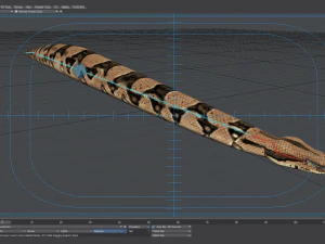 Boa constrictor - animated 3D Model