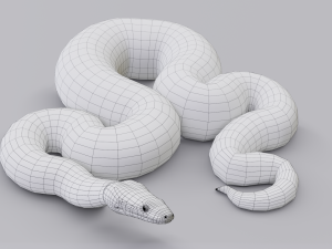 boa constrictor - animated Modèle 3D