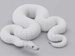Boa constrictor - animated 3D Model