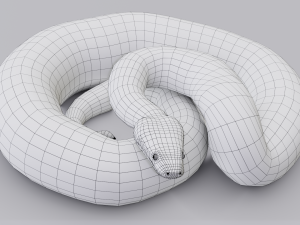 boa constrictor - animated Modèle 3D