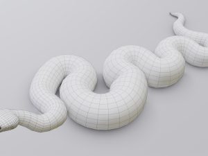 boa constrictor - animated Modèle 3D