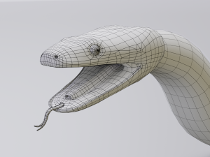 boa constrictor - animated Modèle 3D