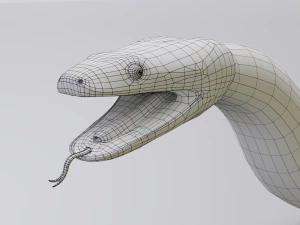 Boa constrictor - animated 3D Model
