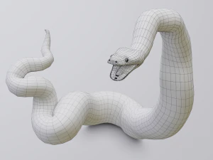 Boa constrictor - animated 3D Model