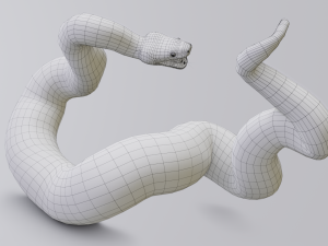 boa constrictor - animated Modèle 3D