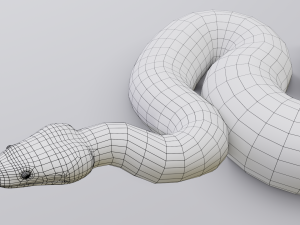 boa constrictor - animated Modèle 3D