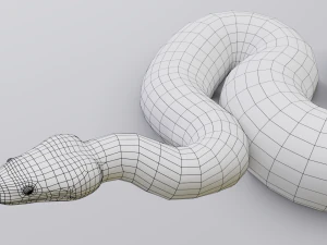 Boa constrictor - animated 3D Model