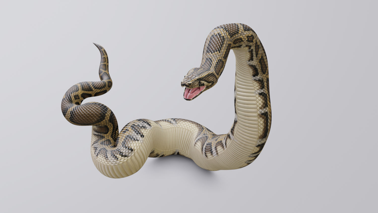 Snake - Classic Python Game template