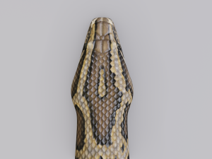burmese python - animated 3D Model