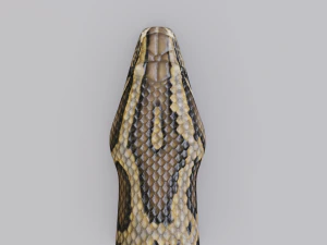 Burmese python - animated 3D Model