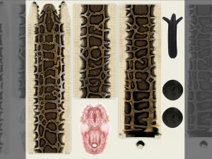 Burmese python - animated 3D Model