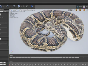 Burmese python - animated 3D Model