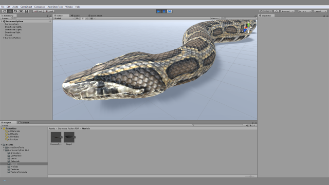 burmese python - animated 3D Model in Reptile 3DExport