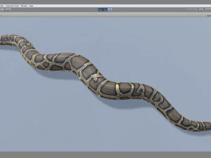 Burmese python - animated 3D Model