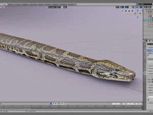 Burmese python - animated 3D Model