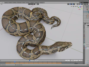 Burmese python - animated 3D Model