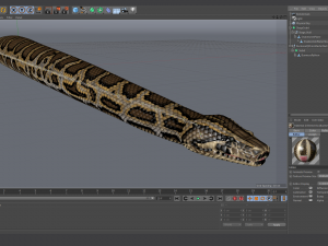 burmese python - animated 3D Model