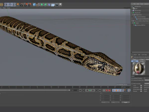 Burmese python - animated 3D Model