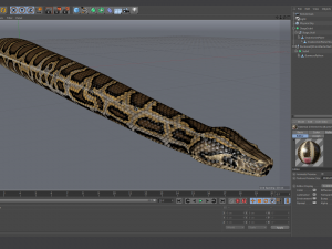 burmese python - animated 3D Model
