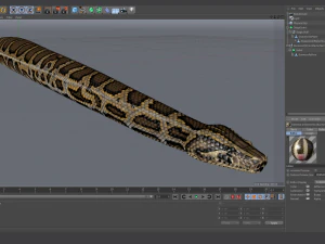 Burmese python - animated 3D Model