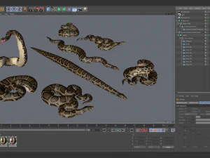 Burmese python - animated 3D Model