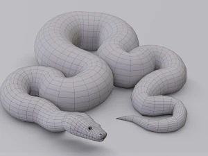 Burmese python - animated 3D Model