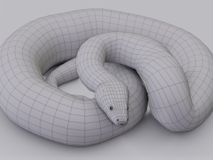 burmese python - animated 3D Model