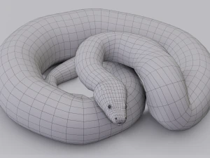 Burmese python - animated 3D Model