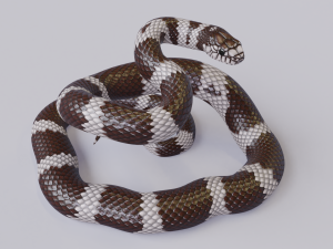 california kingsnake - animated Modelo 3D