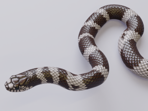 california kingsnake - animated Modelo 3D