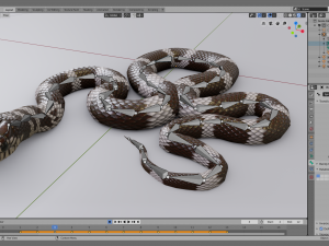 california kingsnake - animated Modelo 3D