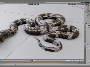 California kingsnake - animated 3D Model