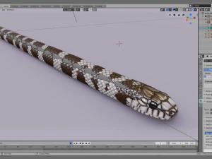 California kingsnake - animated 3D Model