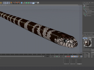 california kingsnake - animated Modelo 3D