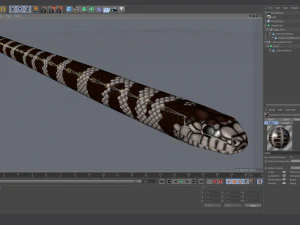 California kingsnake - animated 3D Model