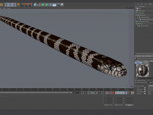 california kingsnake - animated Modelo 3D