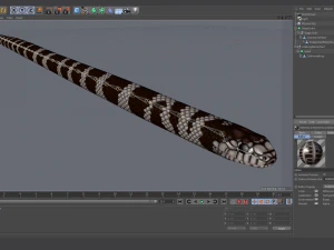California kingsnake - animated 3D Model