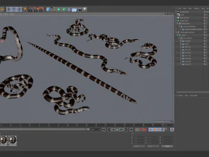 California kingsnake - animated 3D Model