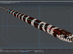 California kingsnake - animated 3D Model