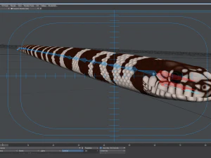California kingsnake - animated 3D Model