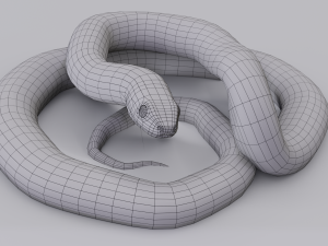 california kingsnake - animated Modelo 3D
