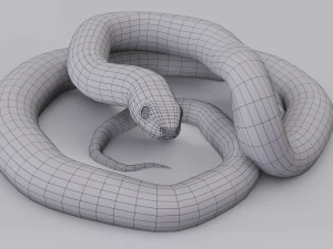 California kingsnake - animated 3D Model