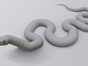 california kingsnake - animated Modelo 3D