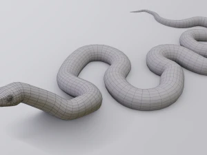 California kingsnake - animated 3D Model