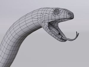 california kingsnake - animated Modelo 3D
