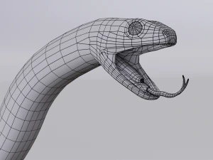 California kingsnake - animated 3D Model