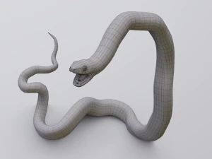 California kingsnake - animated 3D Model