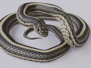 garter snake - animated Modèle 3D
