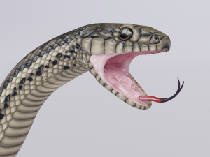 garter snake - animated Modèle 3D