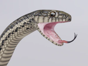 Garter snake - animated 3D Model